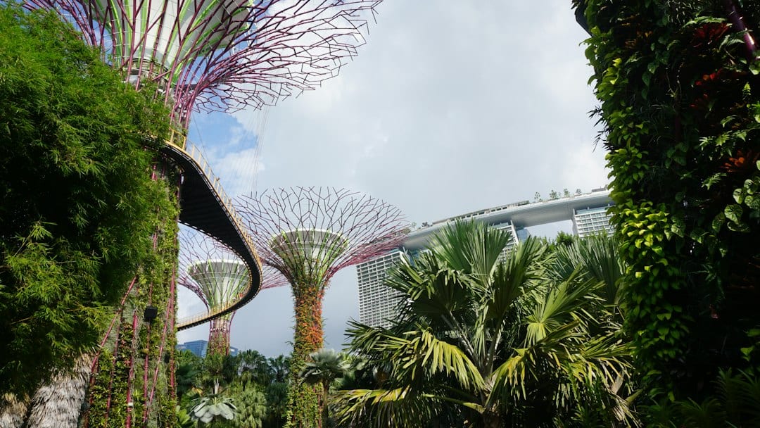 Eastside Collective resort-style tropical landscaping