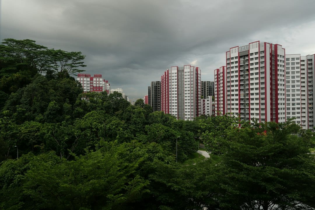 Mature HDB estate in District 19 with tree lined streets